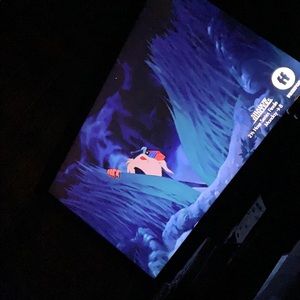 Meet your Posher, Ebonie